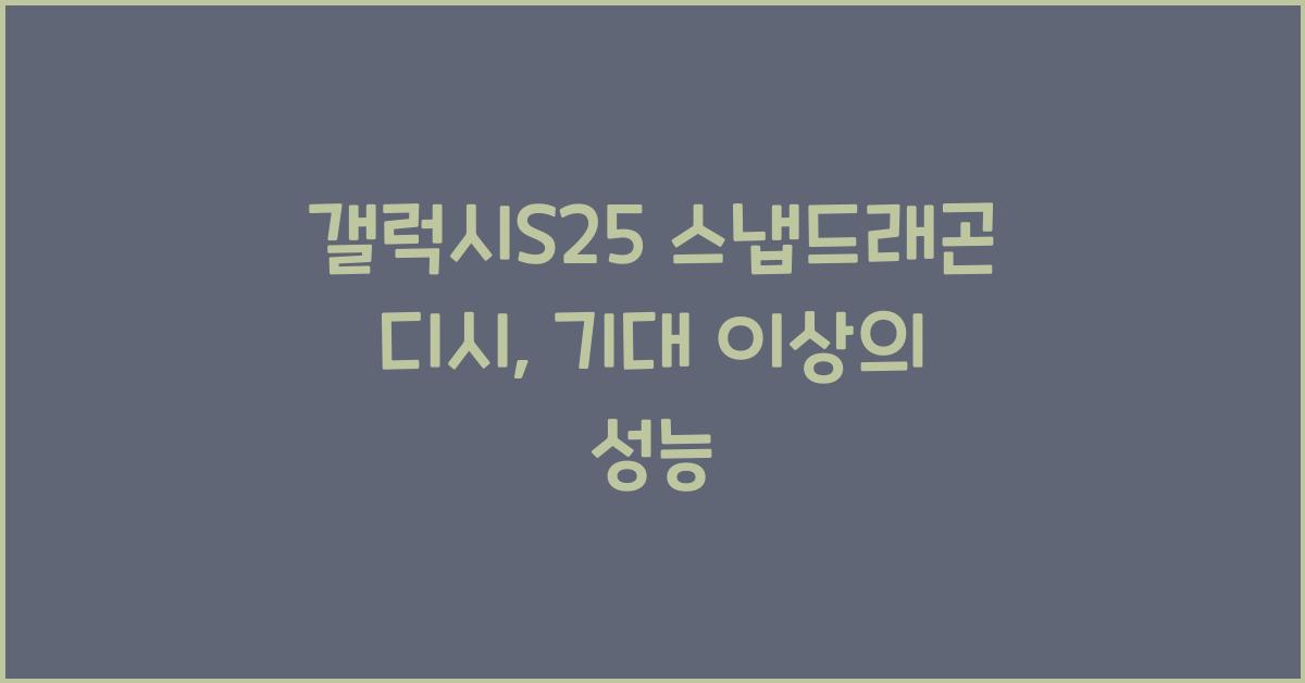 갤럭시s25 스냅드래곤 디시