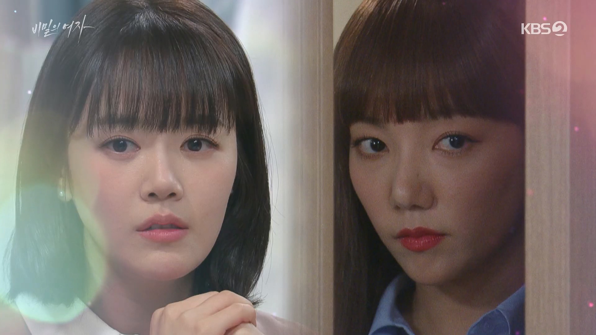 비밀의 여자 줄거리