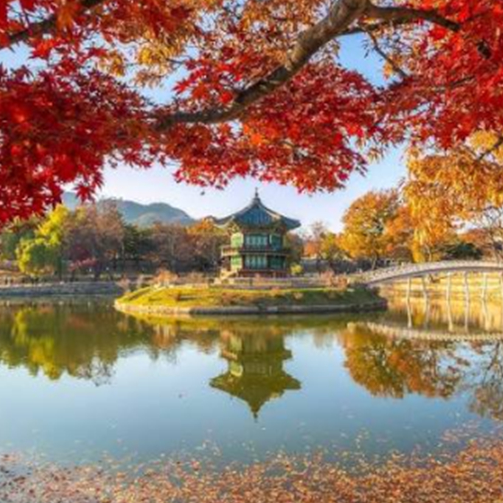 경복궁 향원정