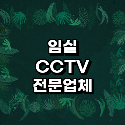 임실군 cctv