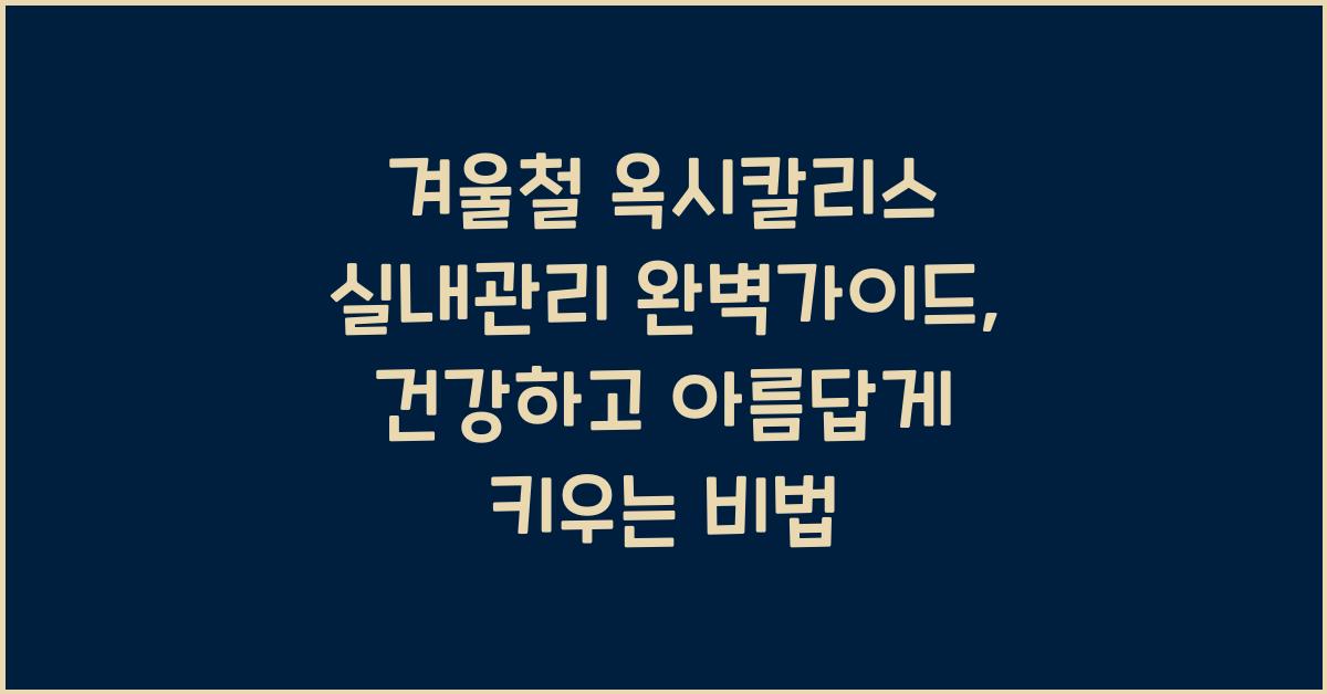 겨울철 옥시칼리스 실내관리 완벽가이드