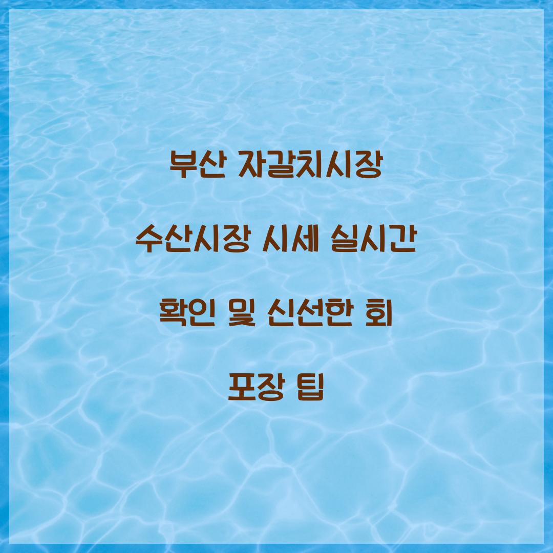 부산 자갈치시장 수산시장 시세 실시간 확인