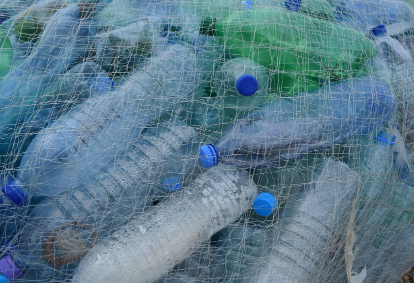 플라스틱 병 vs 유리병, 어떤 게 더 환경친화적일까? 관련 플라스틱병 이미지