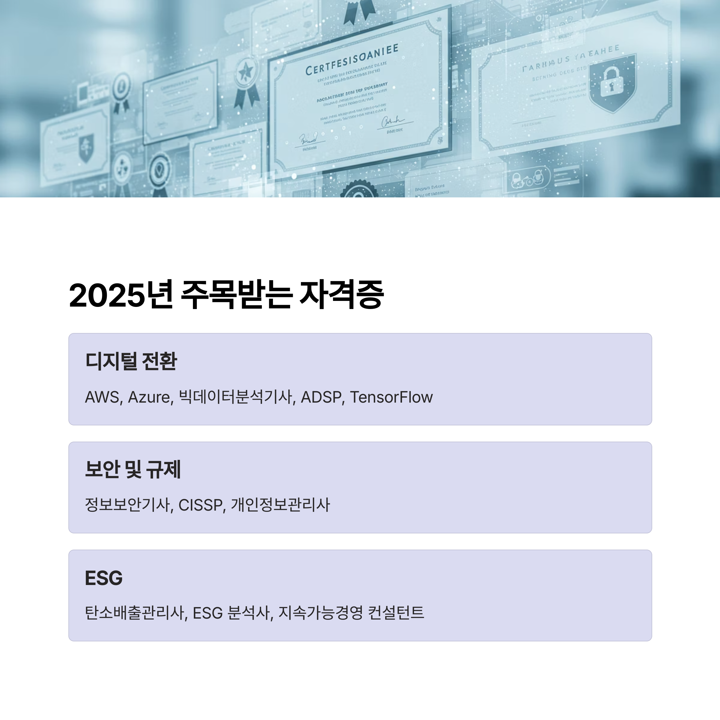 취업 자격증
