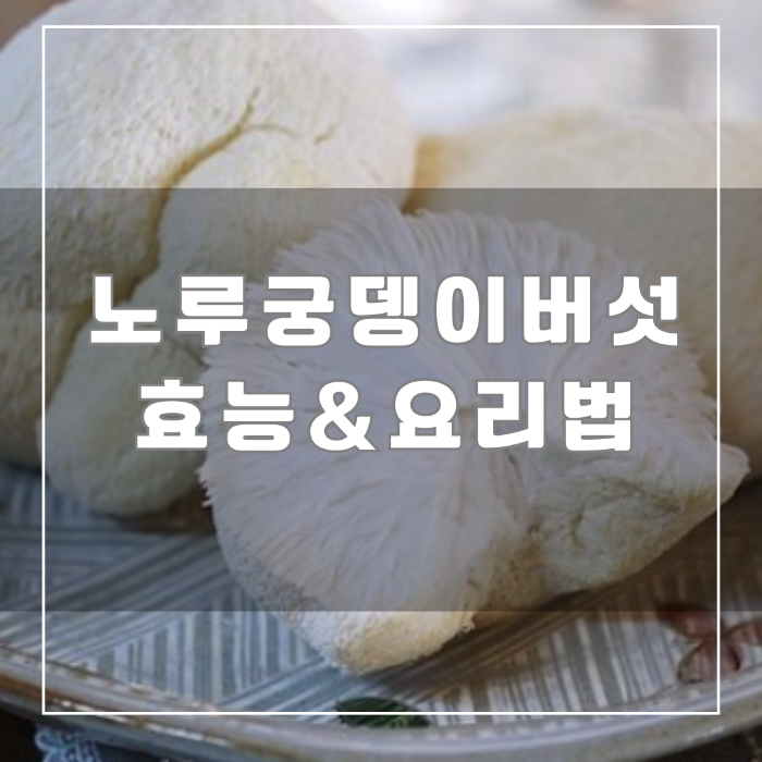 노루궁뎅이버섯 효능,요리법
