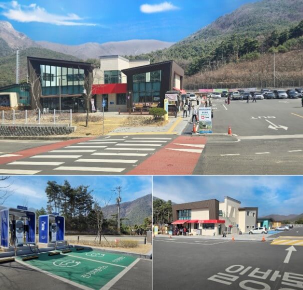 영천시 대중교통 무료 70세 이상 어르신 복지 무임교통카드 교통비 지원