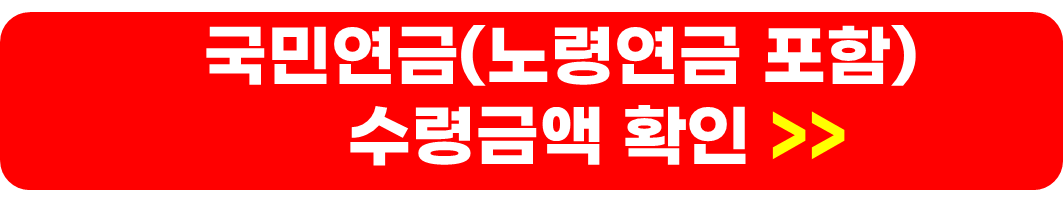 기초연금 노령연금