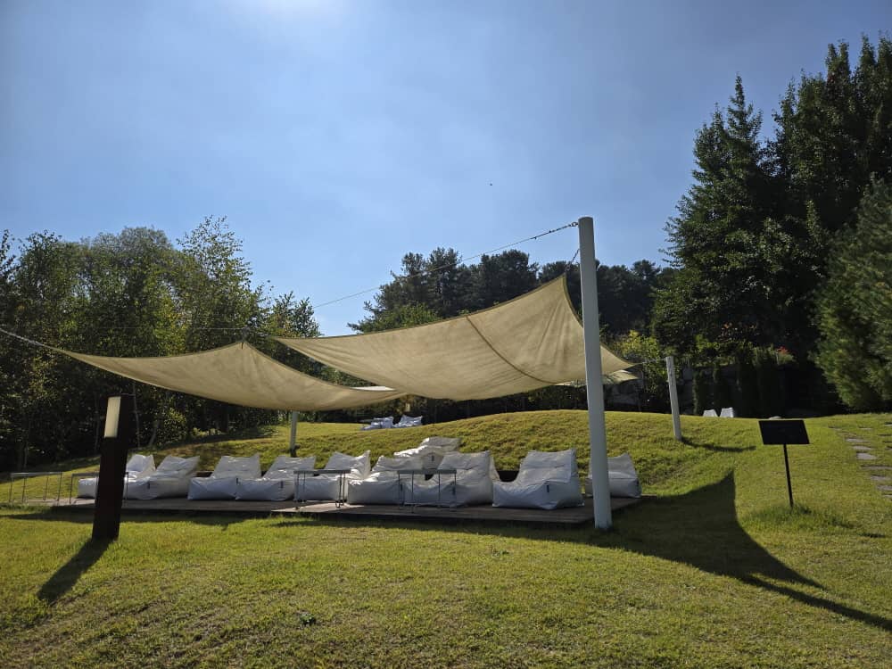 가평 나무아래오후