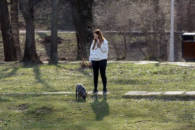 건강보험공단 걷기지원금 12만원 100% 받는 법