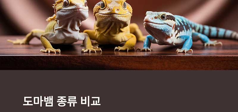 도마뱀 종류 비교 표