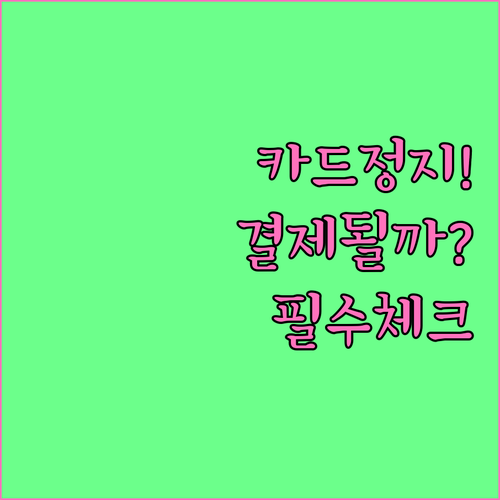 모두의카드 일시정지 중 자동이체 결제..