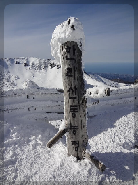 새해 맞이 한라산 야간 탐방예약안내 이용요금
