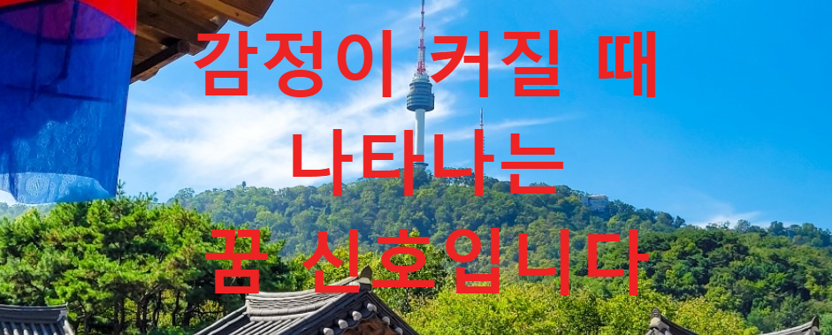 꿈과건강