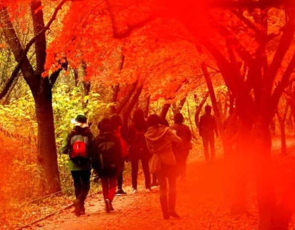 내장산 케이블카 요금 및 시간