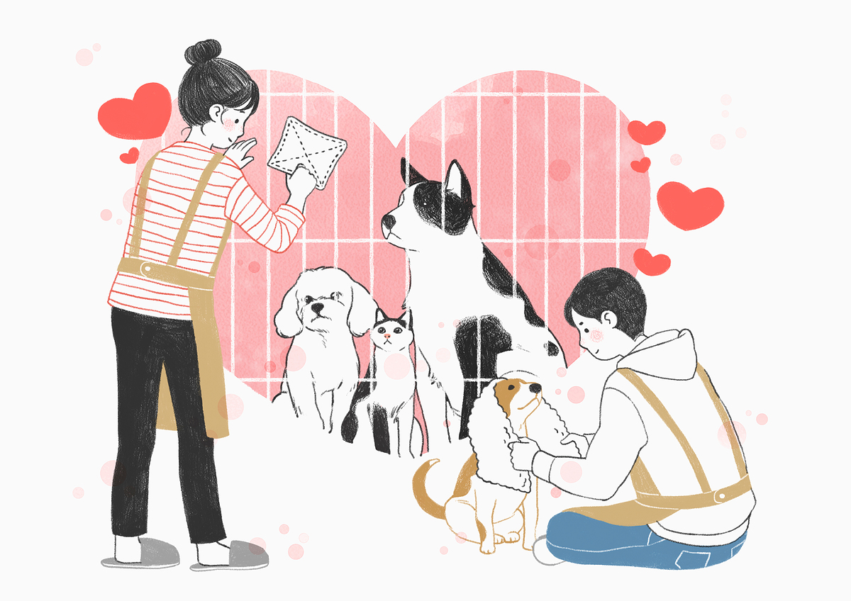 강아지 무료 분양