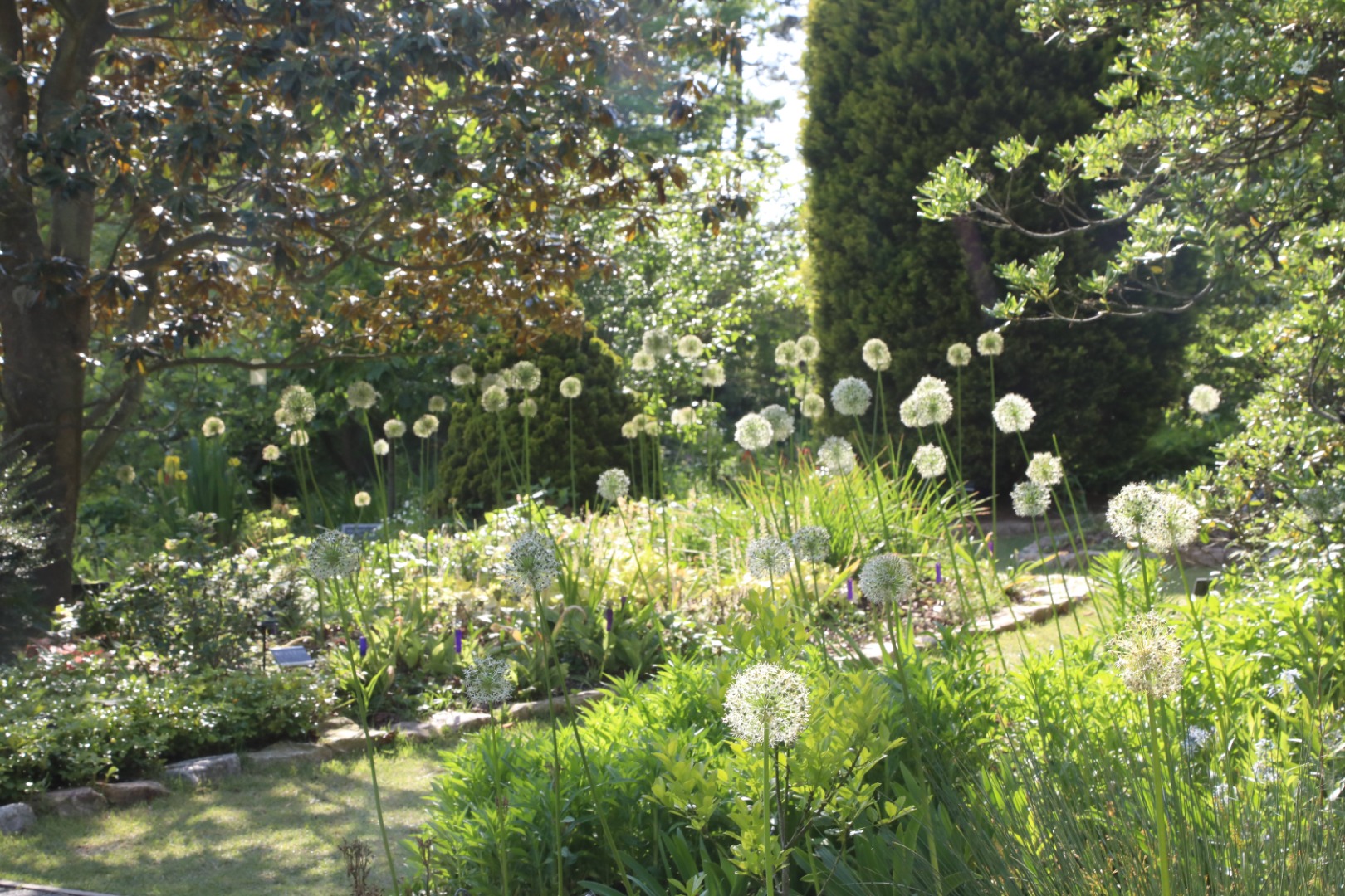 천리포수목원 해설