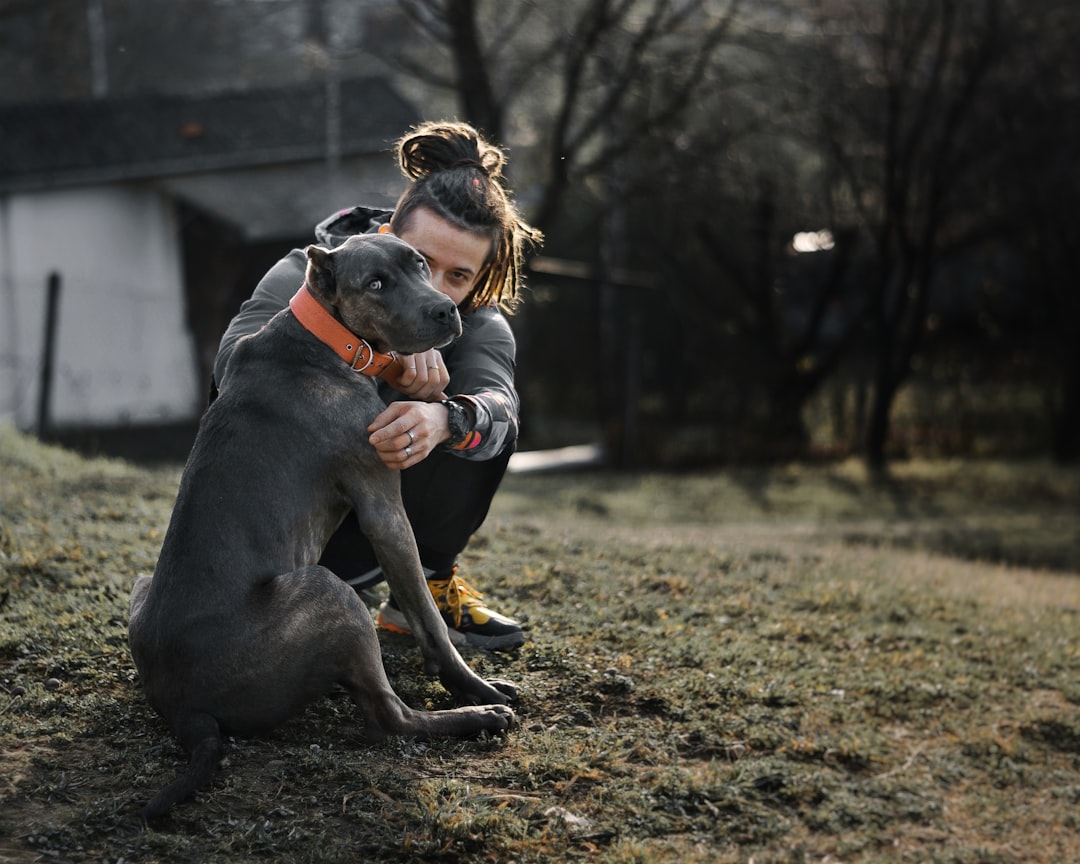 Companionship.