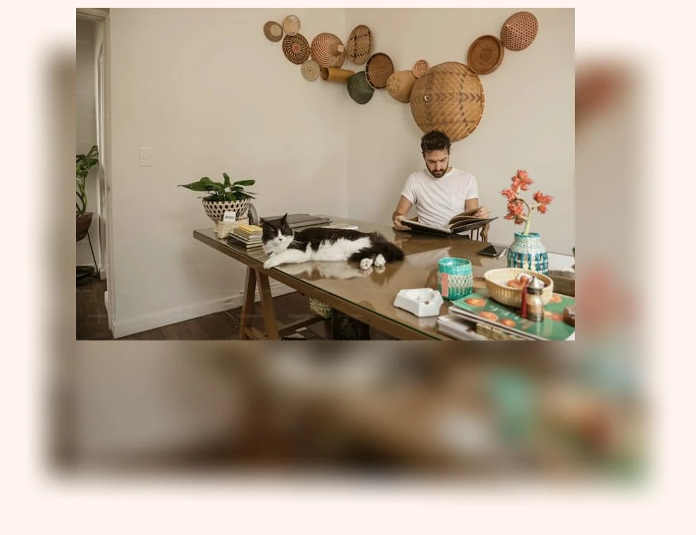 고양이 카페 체험_3_subsection