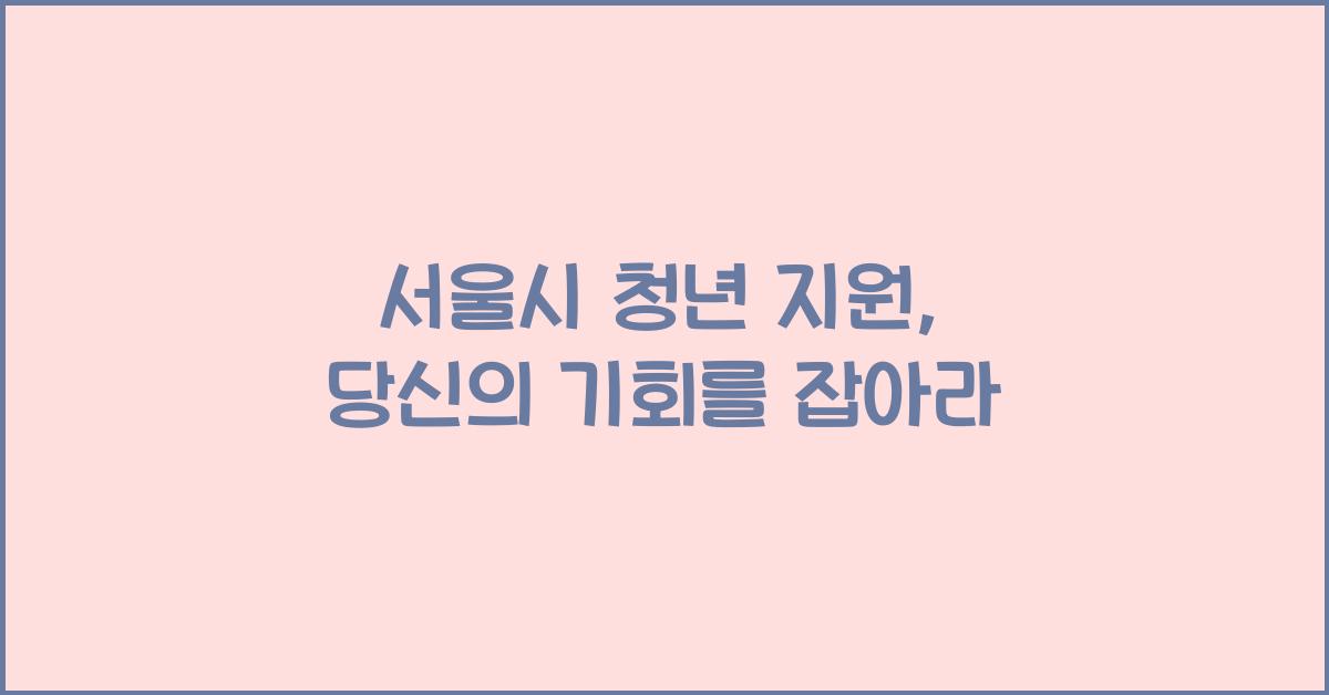 서울시 청년 지원