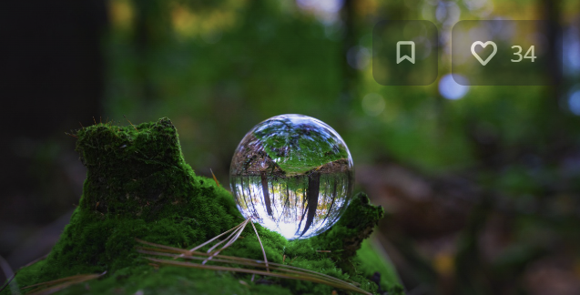 에코마일리지 홈페이지, 서울, 현금전환, 환급, 승용차, 특약, 사용방법