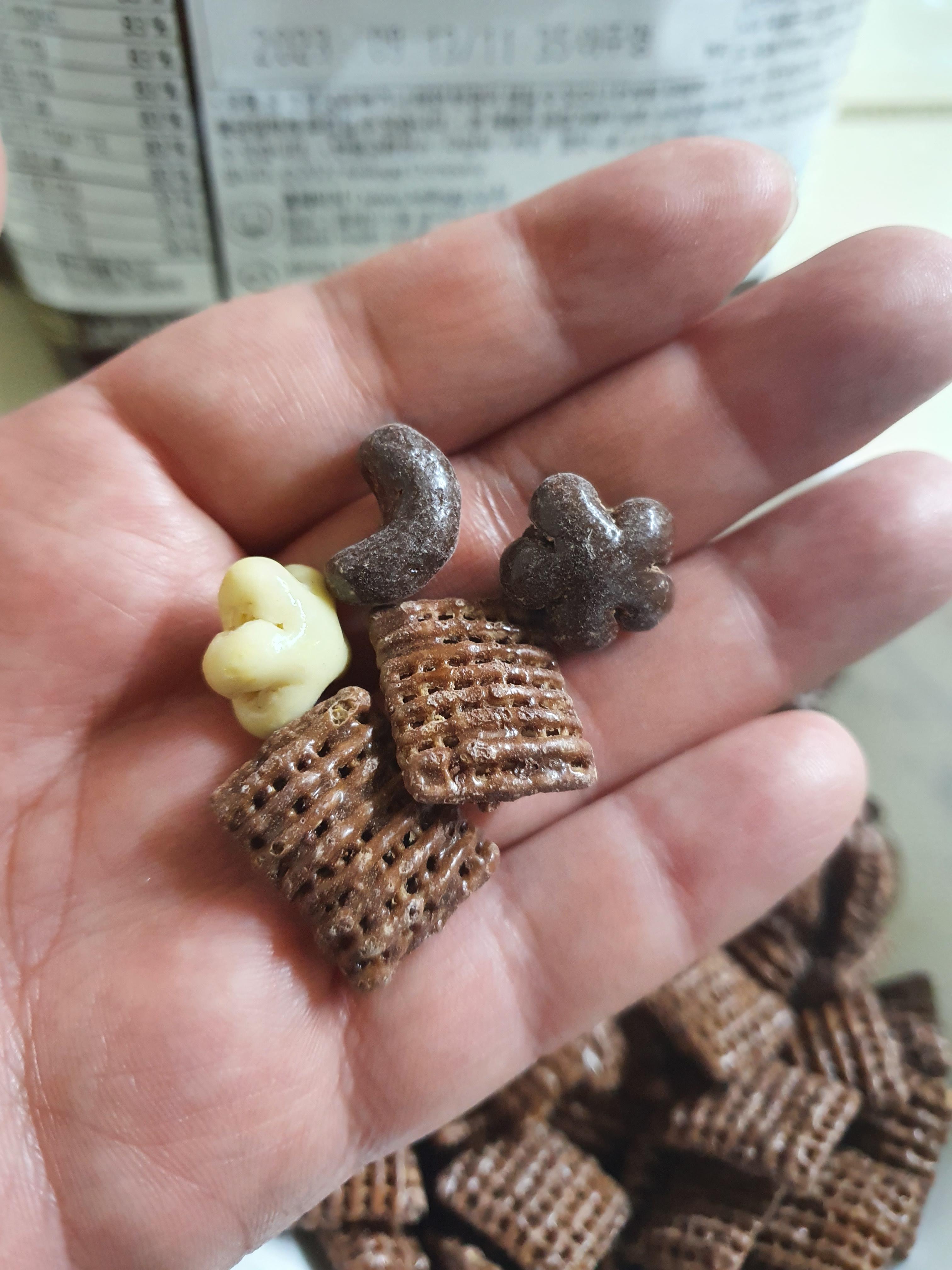 첵스초코 문앤스타 실제 모양