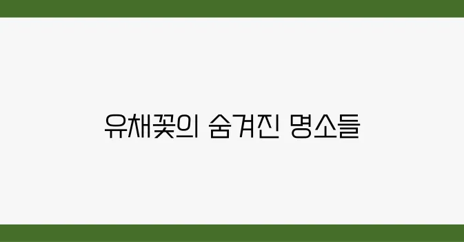 유채꽃 필 무렵, 가장 예쁜 여행지 TOP5