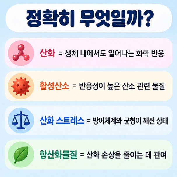 산화 활성산소 산화 스트레스 항산화물질의 관계를 단계적으로 정리한 이미지