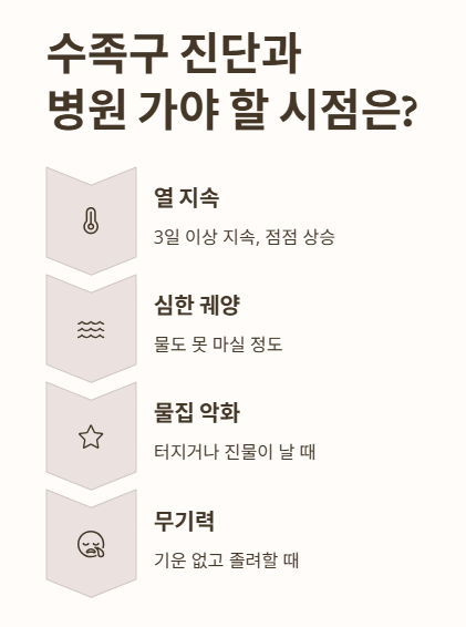 수족구 진단과 병원 가야 할 시점