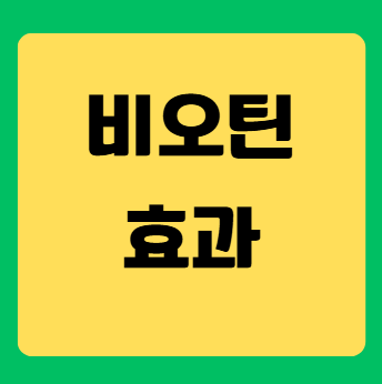 비오틴(비타민 B7) 효과와 먹는 법, 쉬운 가이드