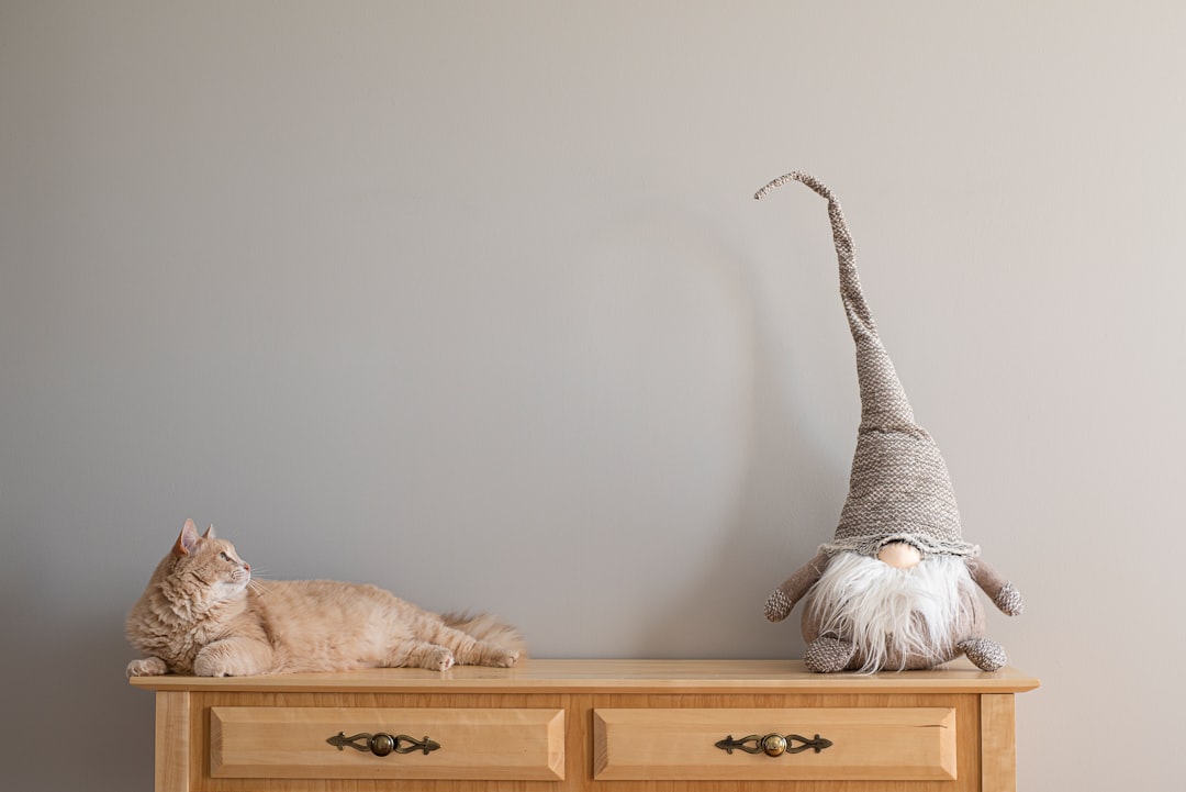 Cat litter