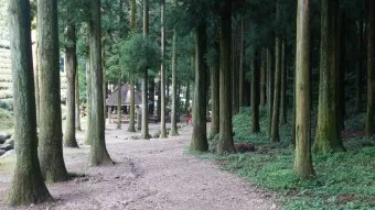 보성 가볼만한곳 베스트10 현지인 추천 필수코스_11