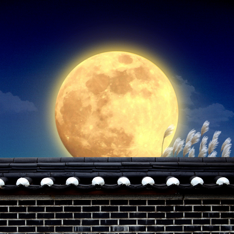 2024년 추석 연휴, 놓치면 후회할 황금빛 휴식_2