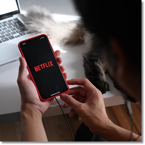 넷플릭스 요금제 추천 스탠다드 광고형