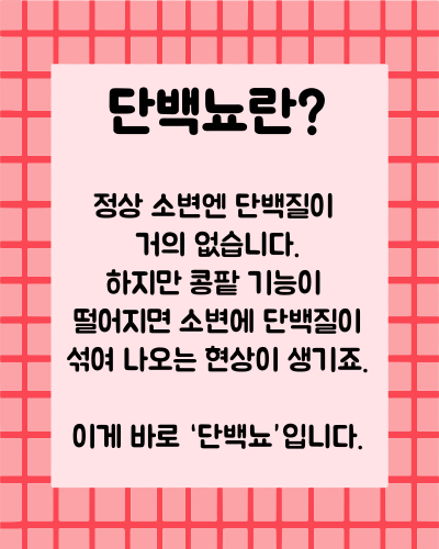 단백뇨 원인