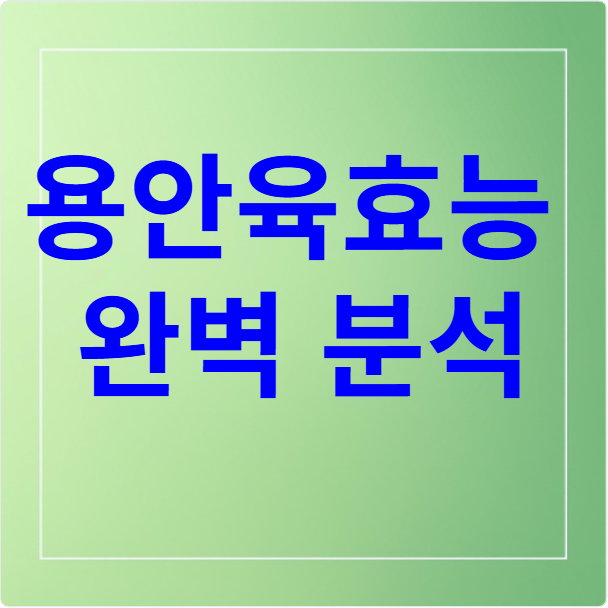 용안육 효능 완벽문석