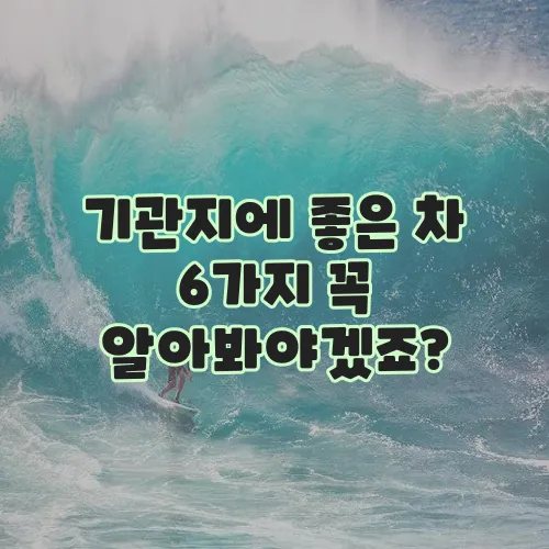 기관지에 좋은 차 6가지 꼭 알아봐야겠죠?