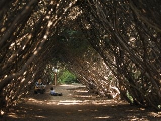 벽초지 문화수목원