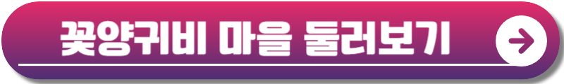 원주 용수골 꽃양귀비축제