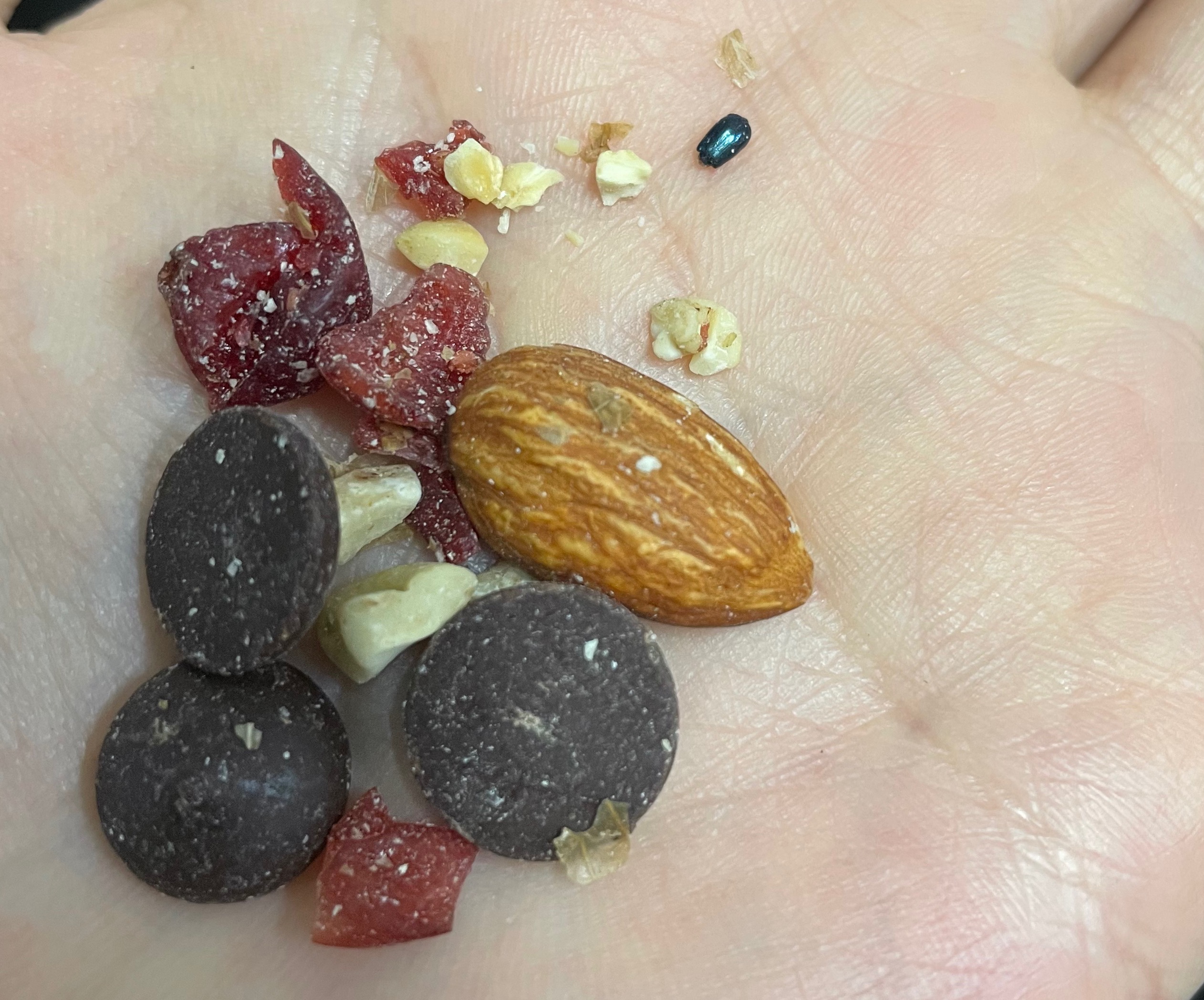 견과류 섭취 시 주의 사항 벌레