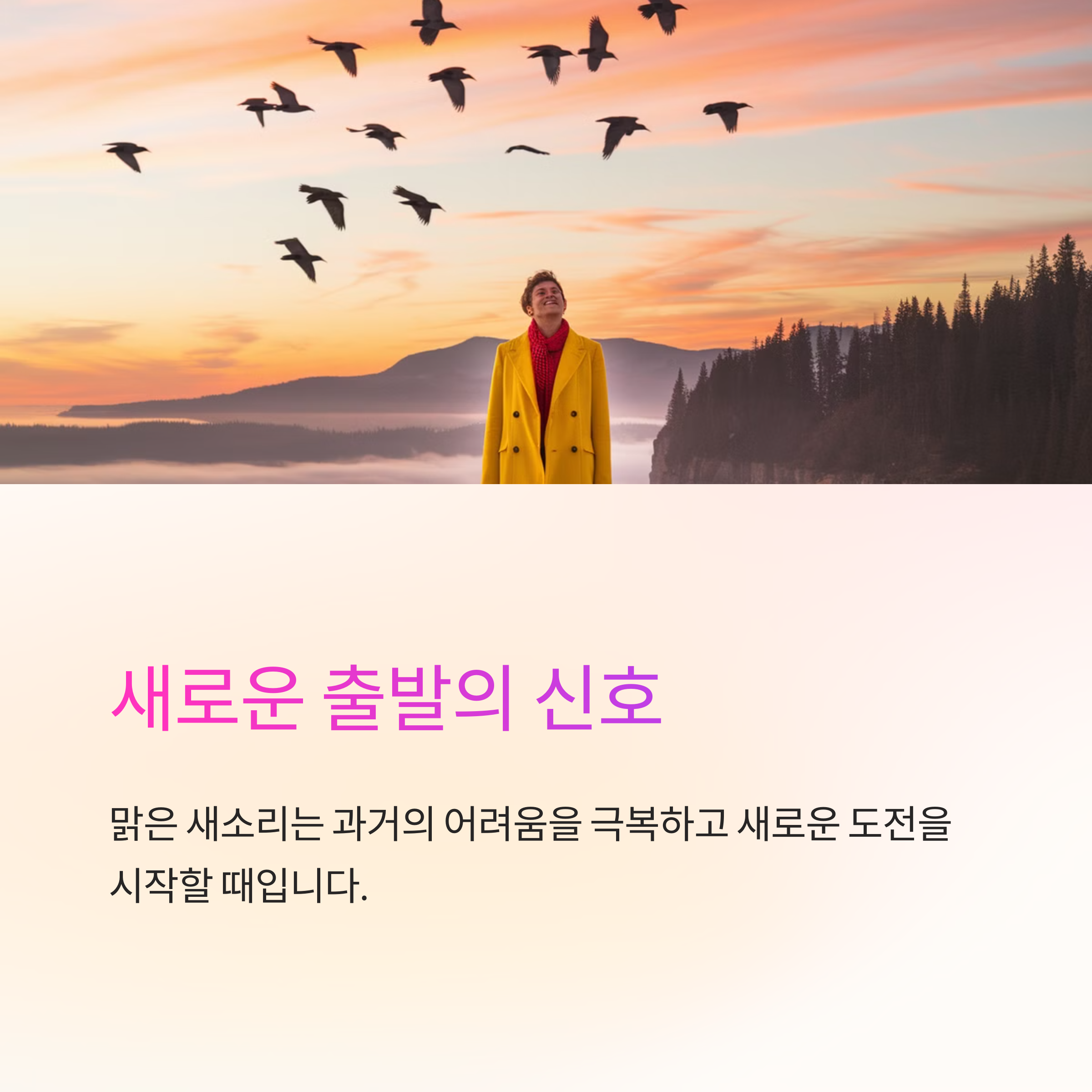 새의 울음소리