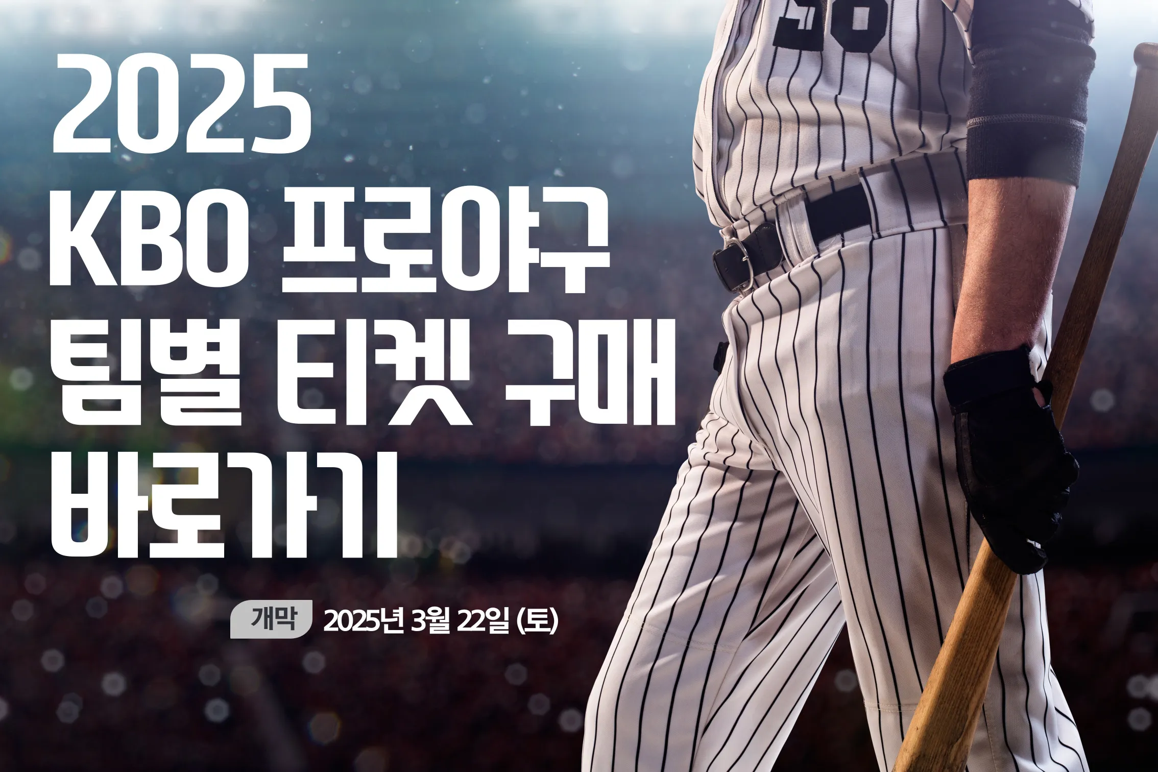 2025 프로야구 티켓, 어디서 예매할까? 팀별 티켓 예매하기