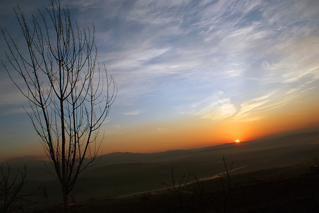 Sunrise