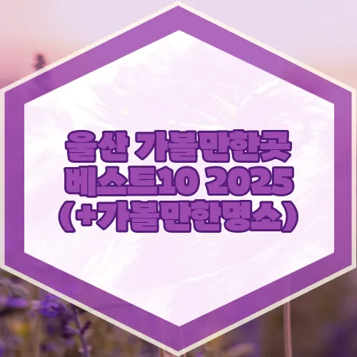 울산 가볼만한곳 베스트10 2025 (+가볼만한명소)