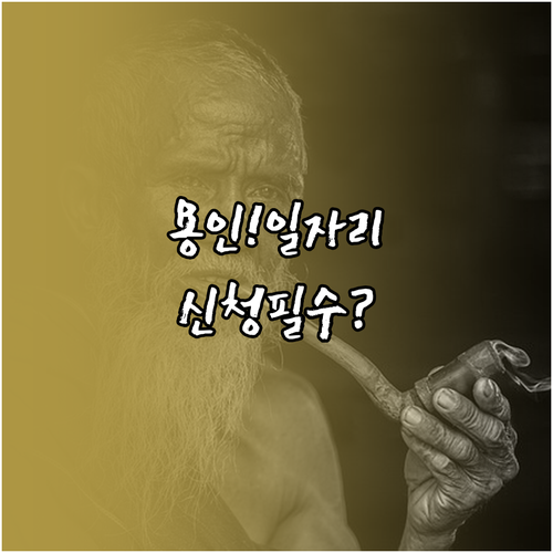 용인 처인구 시니어클럽 노인일자리 유..