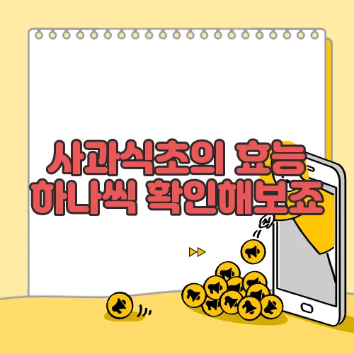사과식초의 효능 하나씩 확인해보죠