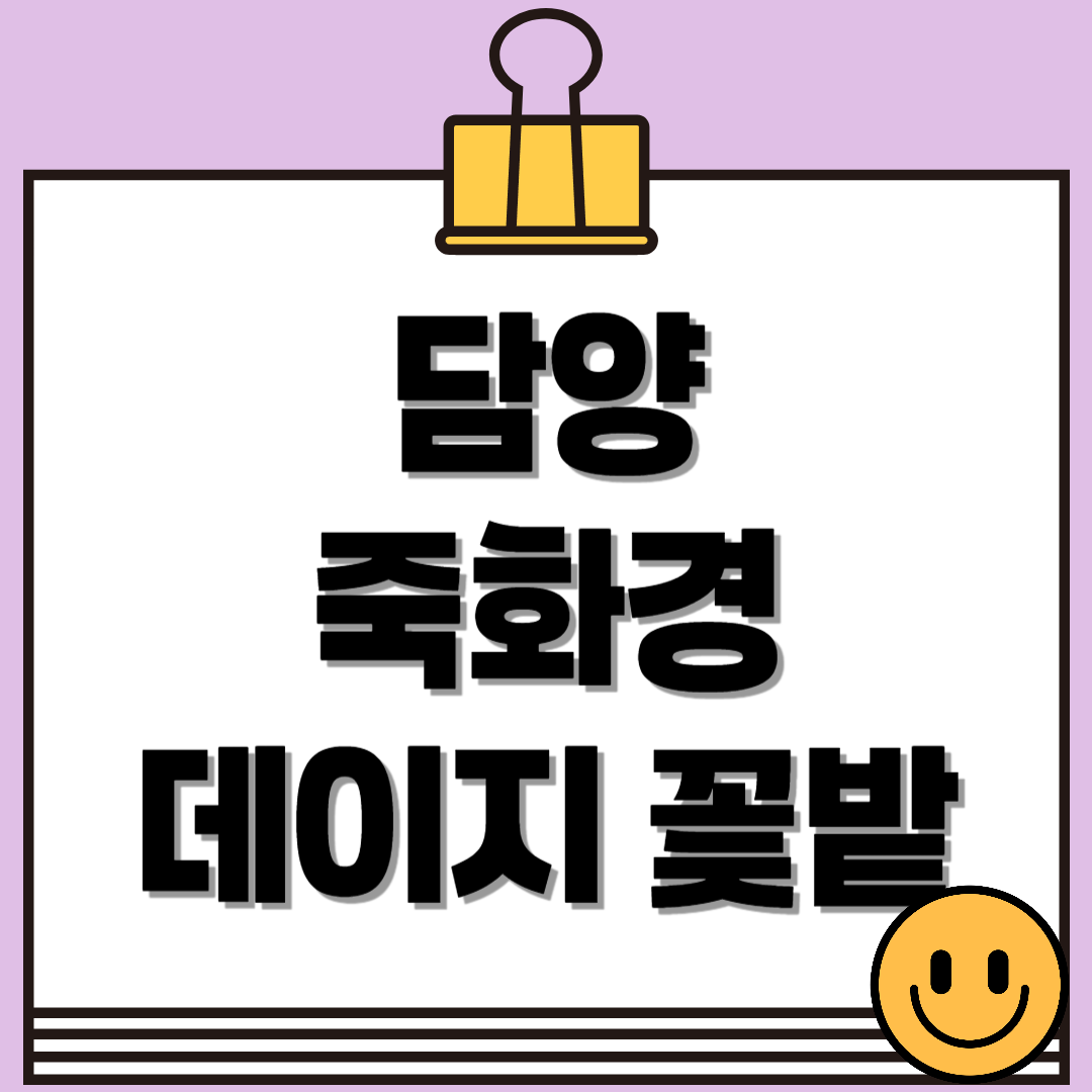 담양 죽화경 데이지 개화 시기, 위치, 입장료 총정리