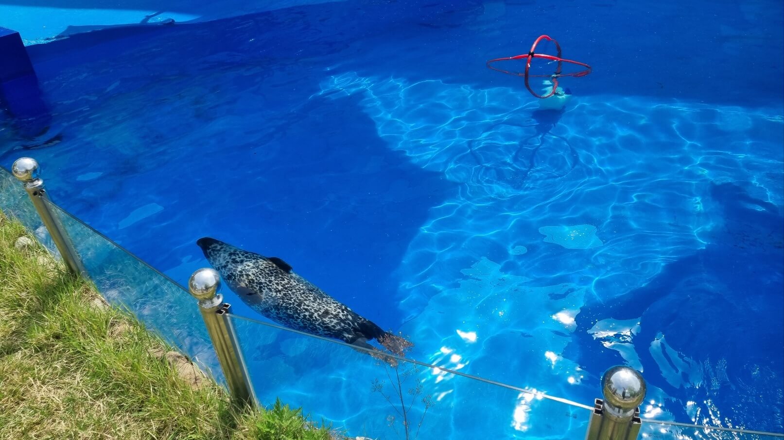 순천만국가정원 서문 동물원