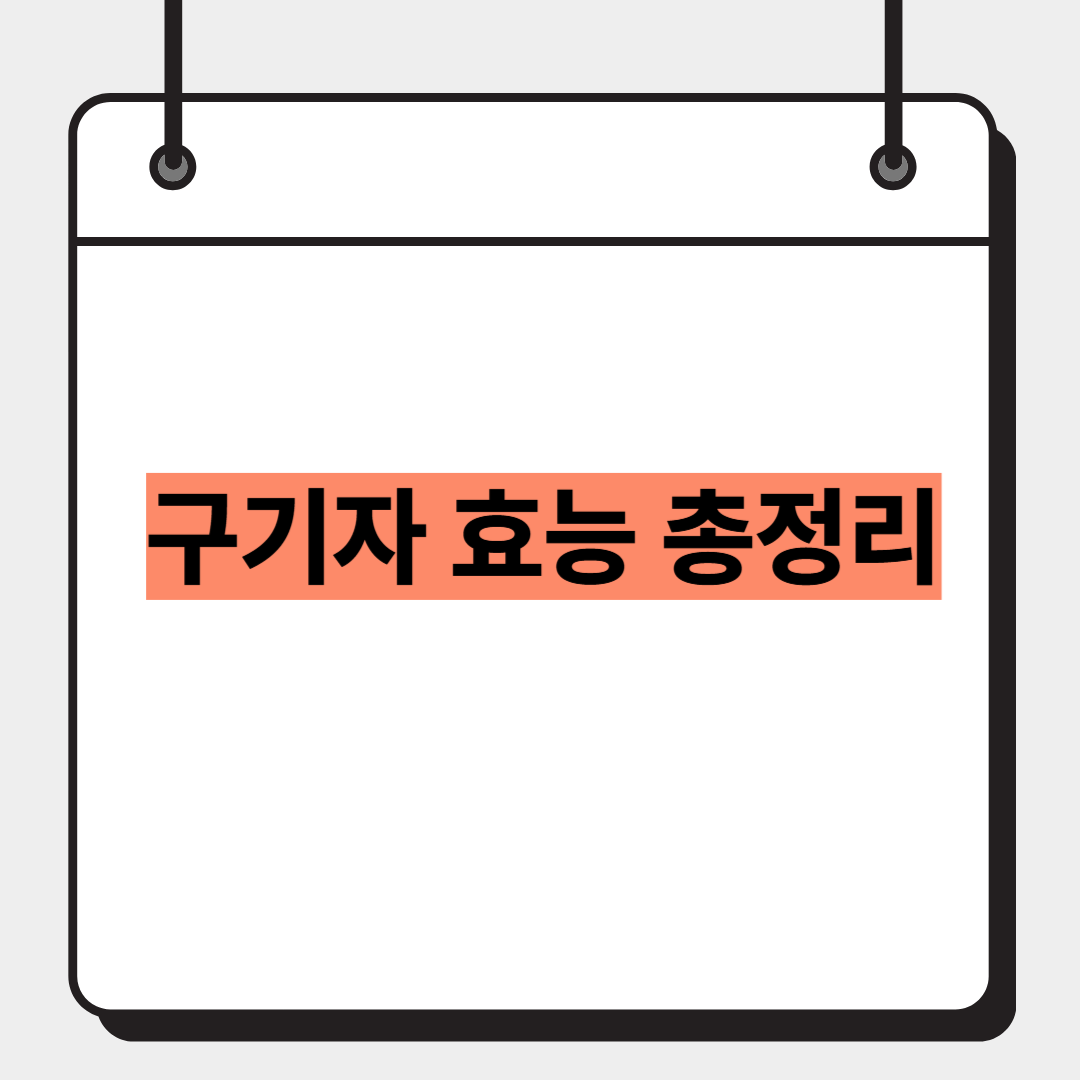 구기자 효능 총정리