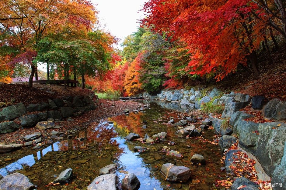화순 가볼만한곳 베스트10