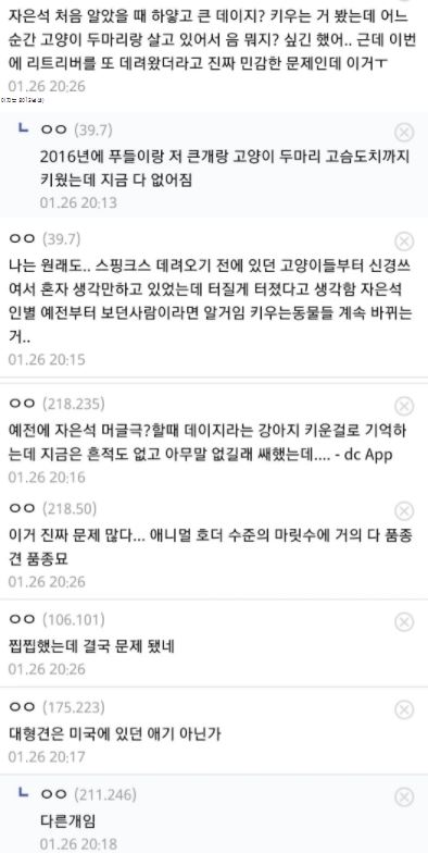 박은석 반려묘